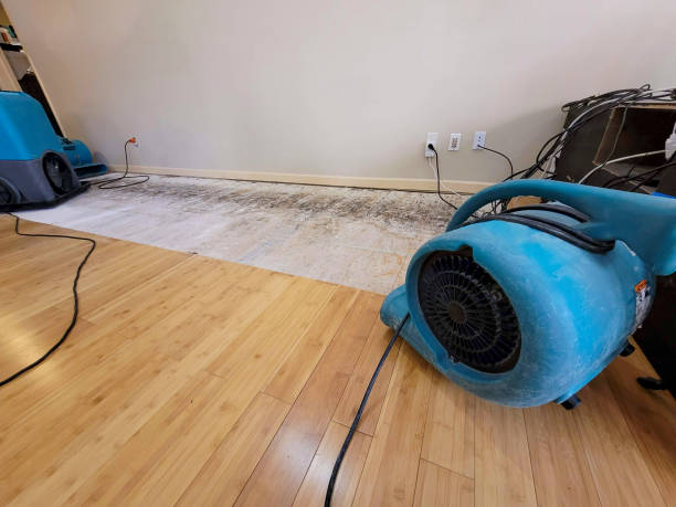 Professional Structural Drying technician working in Glen Haven, CO